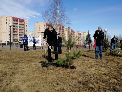 В рамках Всероссийской акции «ТелеАллея» в Кемерово высадили 20 деревьев