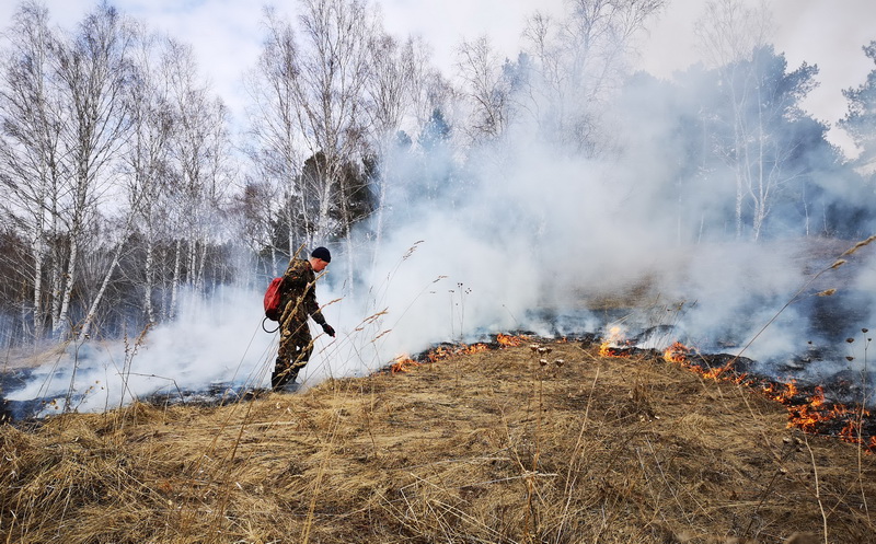 Первый лесной пожар ликвидировали в Юргинском лесничестве