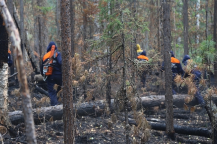Кузбасские пожарные продолжают оказывать помощь в ликвидации природных пожаров на территории Красноярского края