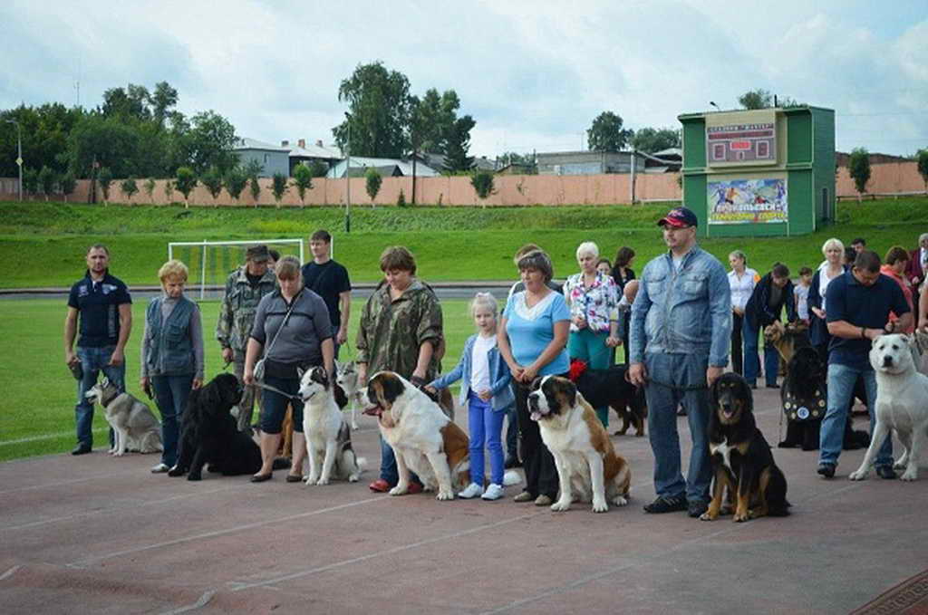 XIX Международная сертификатная выставка собак всех пород на Кубок Главы города Прокопьевска-2019