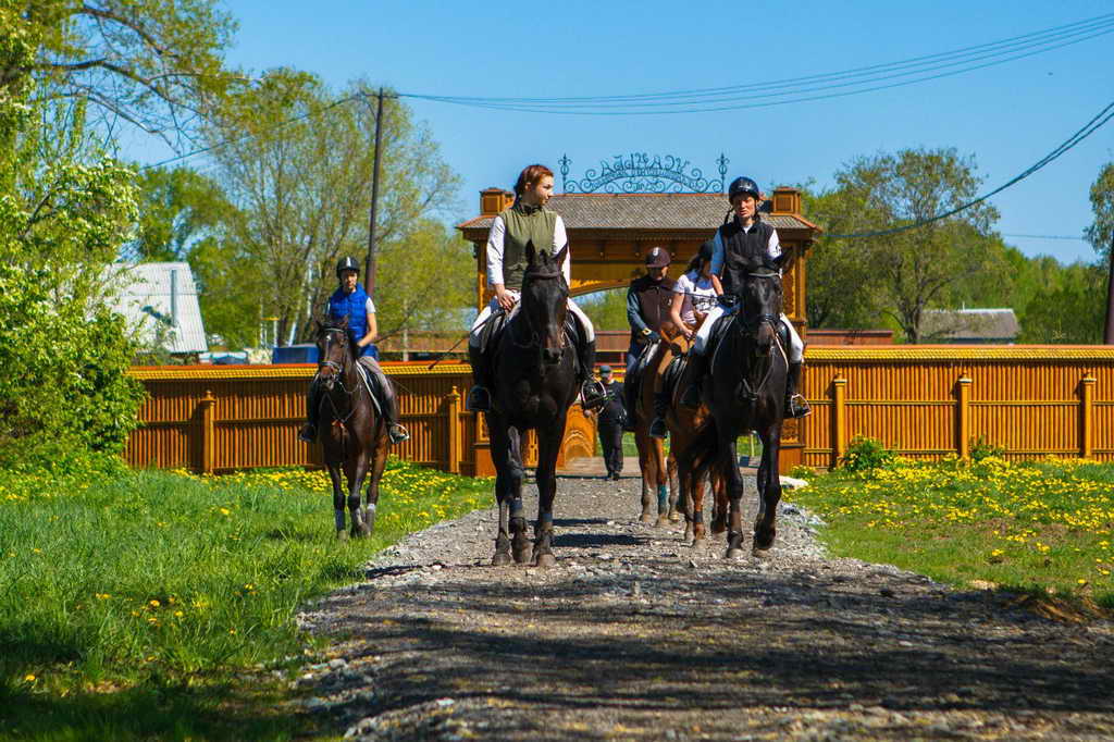 С 6 по 11 сентября на территории Кемеровской области пройдет первый Всекузбасский конный ход