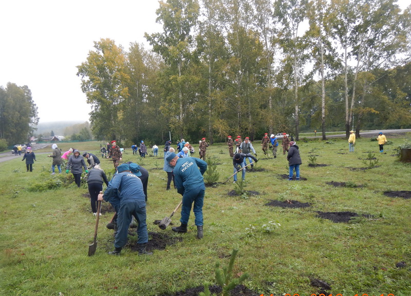 Более 30 тысяч кузбассовцев приняли участие в едином Дне посадки акции «Живи, лес!»