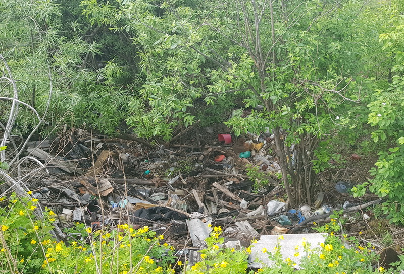 В Кузбассе экологи выявили 127 мест несанкционированного размещения отходов
