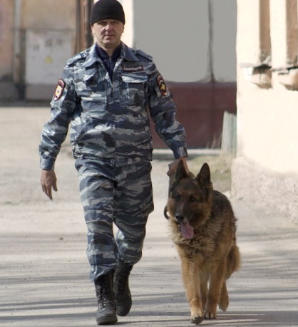 В Кемерово служебно-розыскная собака Бакс помогла полицейским 