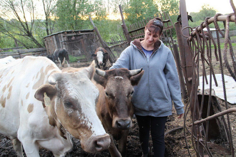 Начинающие фермеры Кузбасса получат гранты на развитие 