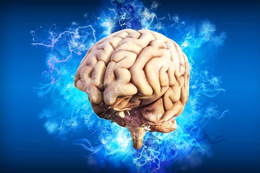 Сегодня Всемирный день мозга. Можно ли заставить «мыслительный орган» работать продуктивно до глубокой старости?