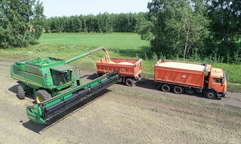 Уборка зерновых началась в Кузбассе