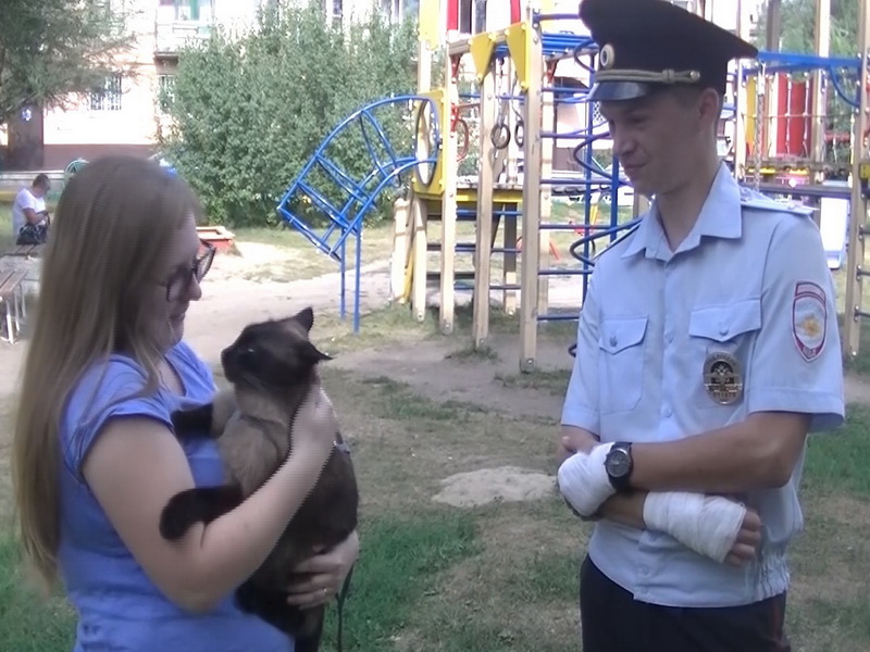 Жительница Новокузнецка поблагодарила полицейского за спасенного кота