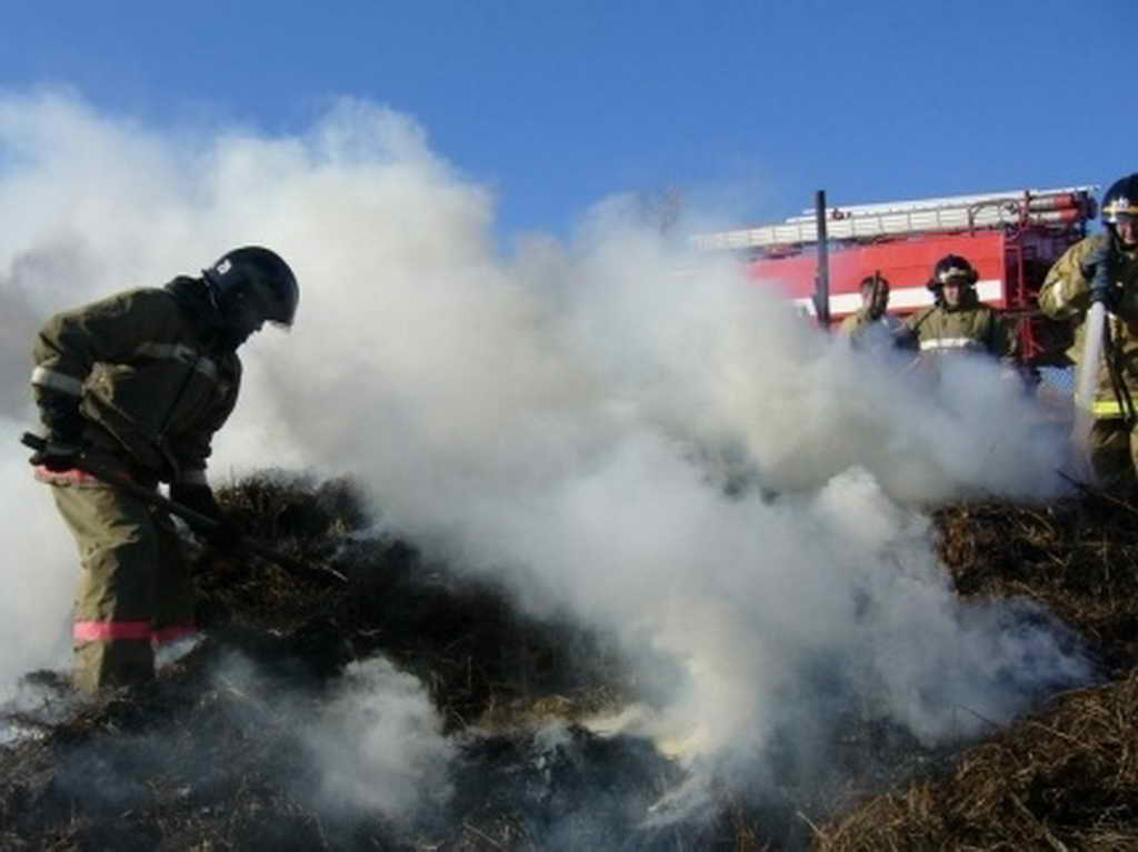 Заготовка сена на зиму требует соблюдения правил пожарной безопасности