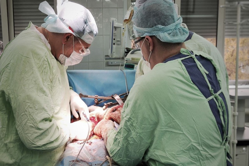 С начала года в Кузбассе провели 48 бесплатных трансплантаций органов
