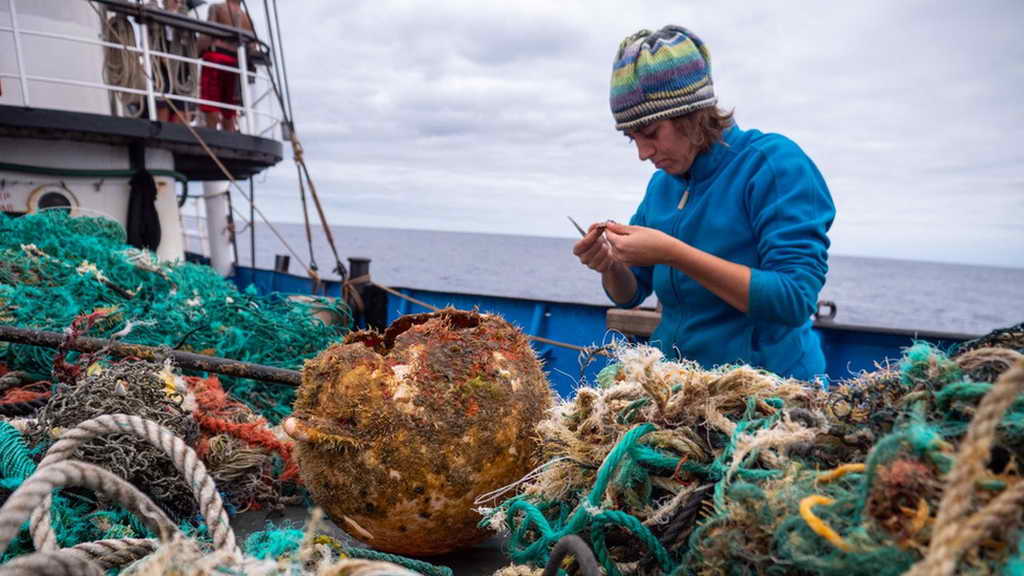 Животный мир мусорного континента. Ученые узнали, кто живет на скоплении пластика в Тихом океане
