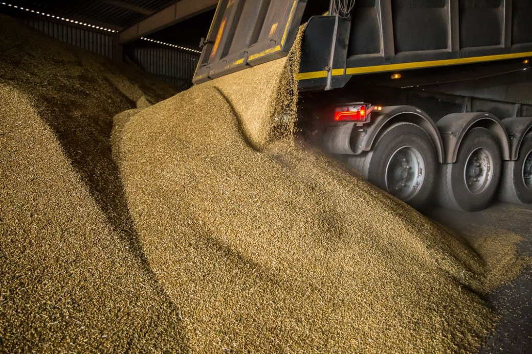 Рекордный урожай зерна за последние 10 лет — результат модернизации сельхозпредприятий КуZбасса