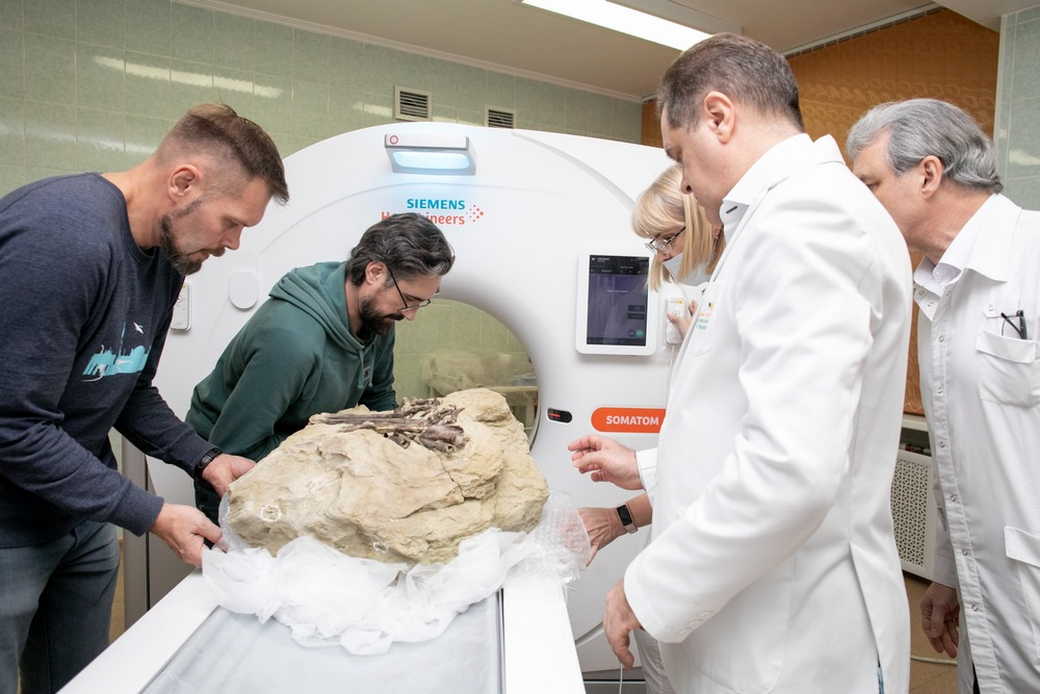 Сергей Цивилев: в КуZбассе изучают единственный скелет теропода из мелового периода, обнаруженный в России
