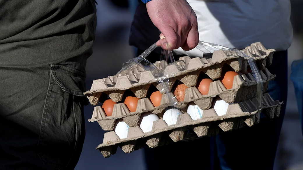 Яйца в России подешевели впервые с июня 2023 года