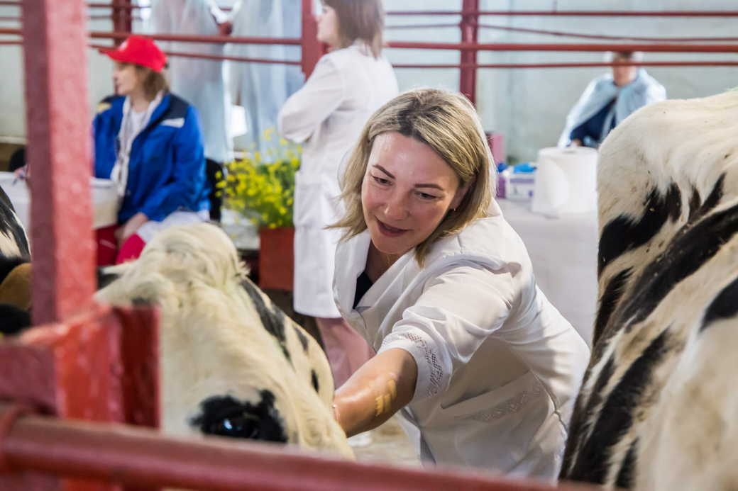 В КуZбассе выбрали лучшего оператора машинного доения коров