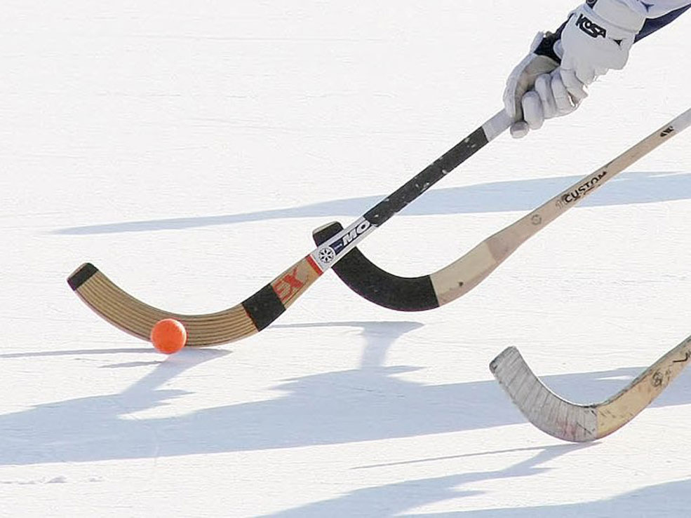 Кемеровские хоккеисты в составе национальной сборной стали победителями первенства мира по хоккею с мячом 