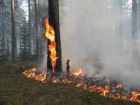 Пожар в горах на юге Кузбасса потушили с применением новых технологий