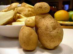 Тулеев призывает вовремя собрать выращенный урожай картофеля