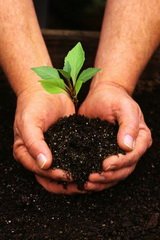 Кузбасс просит Госдуму ускорить принятие законов об обращении с отходами производства