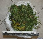 В Кузбассе полицейские изъяли у горожанина более 6 килограммов конопли