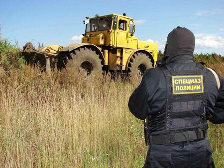 Три поля конопли уничтожили в Прокопьевском районе