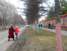 ...Зачем красят деревья в Кемеровской области?