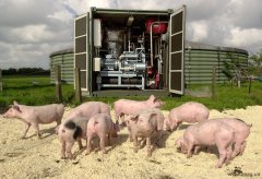 В Новокузнецком районе запущена в строй первая в Кузбассе биогазовая установка