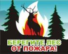 Берегите лес