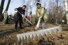 Во всекузбасском субботнике приняли участие более 83,2 тысячи человек