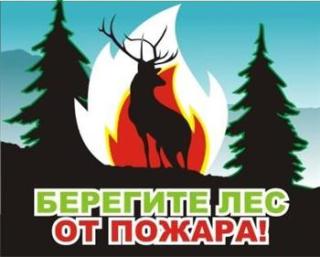 Берегите лес