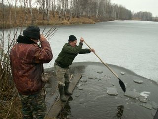 В Кузбассе продолжают разведение зеркального карпа