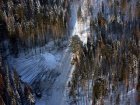 В Кузбассе полицейские пресекли деятельность «черных» лесорубов 