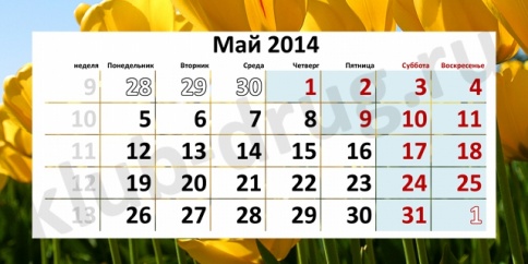 Семь выходных дней в связи с праздниками ждут россиян в мае