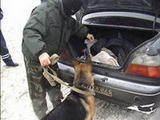 В Междуреченске полицейские задержали подозреваемого в сбыте наркотиков 