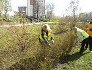 В Кузбассе полным ходом идет подготовка к проведению областной озеленительной кампании 