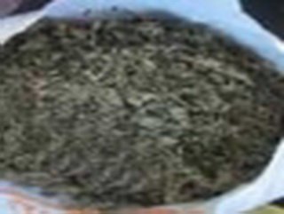 В Промышленновском районе полицейские изъяли у местного жителя марихуану
