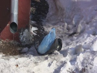В Кузбассе обнаружен пакет с аммонитными шашками возле жилого дома 