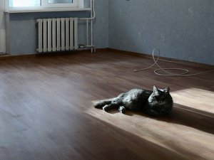 Восемь детей-сирот стали обладателями новых квартир в поселке Мундыбаш Таштагольского района