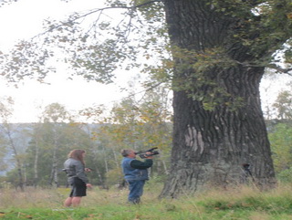 Кузбасский 150-летний черный тополь занесен в федеральный реестр старовозрастных деревьев