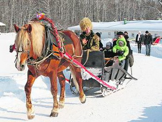 На новогодних каникулах детвора в Кузбассе катается в конных санях 