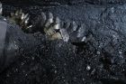 Угольщики Кузбасса добыли 155,2 млн т угля
