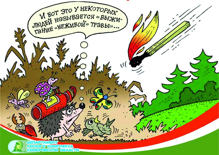 Проект «Урожай вместо дыма!» занял II место во всероссийском конкурсе