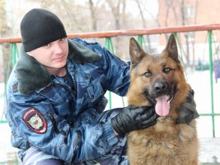 В Кемеровской области служебно-розыскная собака вычислила грабителя по запаху лука и чеснока