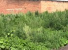 В Кемерово полицейские изъяли у местного жителя более 3 килограммов марихуаны
