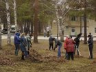 34,6 тыс. кузбассовцев вышли на генеральную уборку в «тулеевскую пятницу»