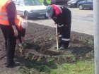 В Белово продолжает благоустройство дворовых территорий
