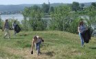 В «тулеевскую пятницу» кузбассовцы очищали от мусора берега водоемов, косили траву и пропалывали клумбы
