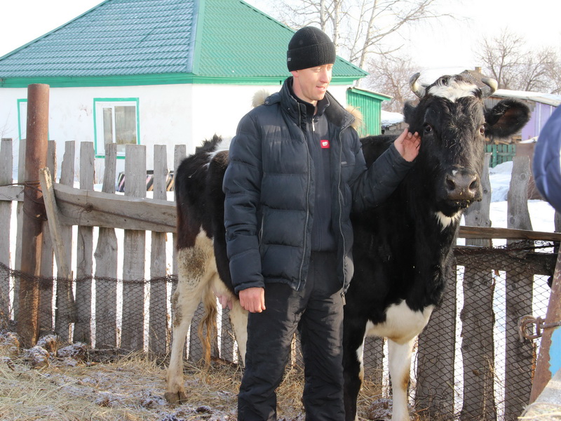 Фермеры Беловского района Кузбасса стали активнее заниматься мясным и молочным животноводством
