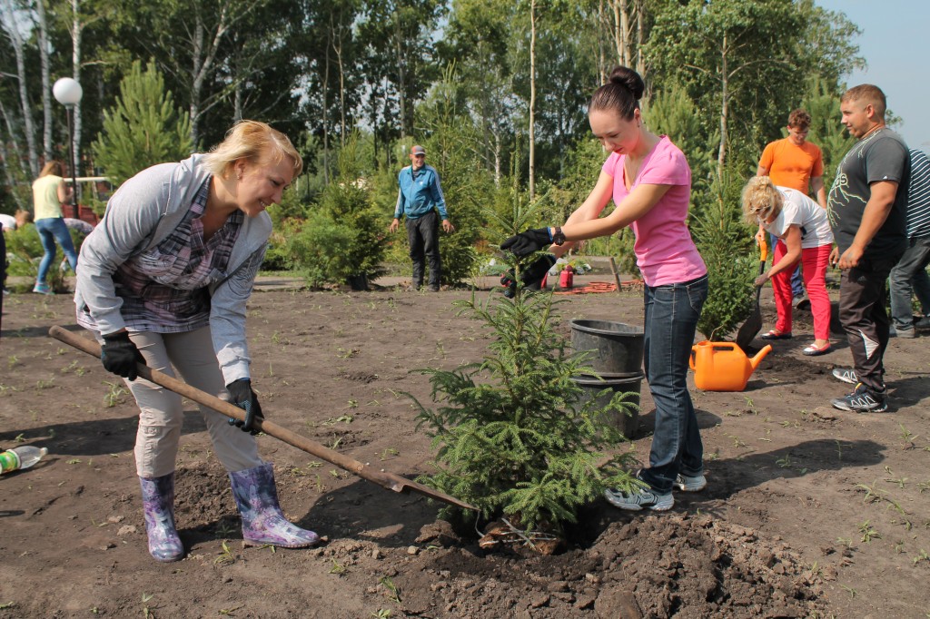 Сотрудники департамента строительства посадили деревья в новом сквере Кемерова