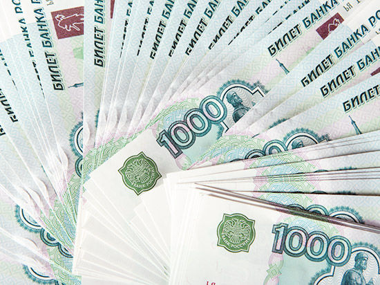 Металл Плюс задолжал в областной бюджет